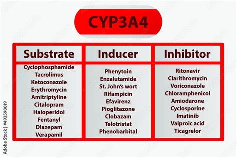 cyp inducers mnemonic|cyp3a4 strong inhibitors and inducers.